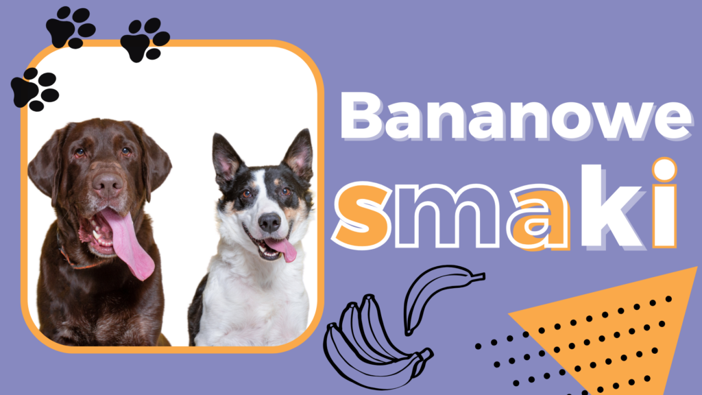 Banan w psiej diecie zakazany owoc, czy dobry dodatek