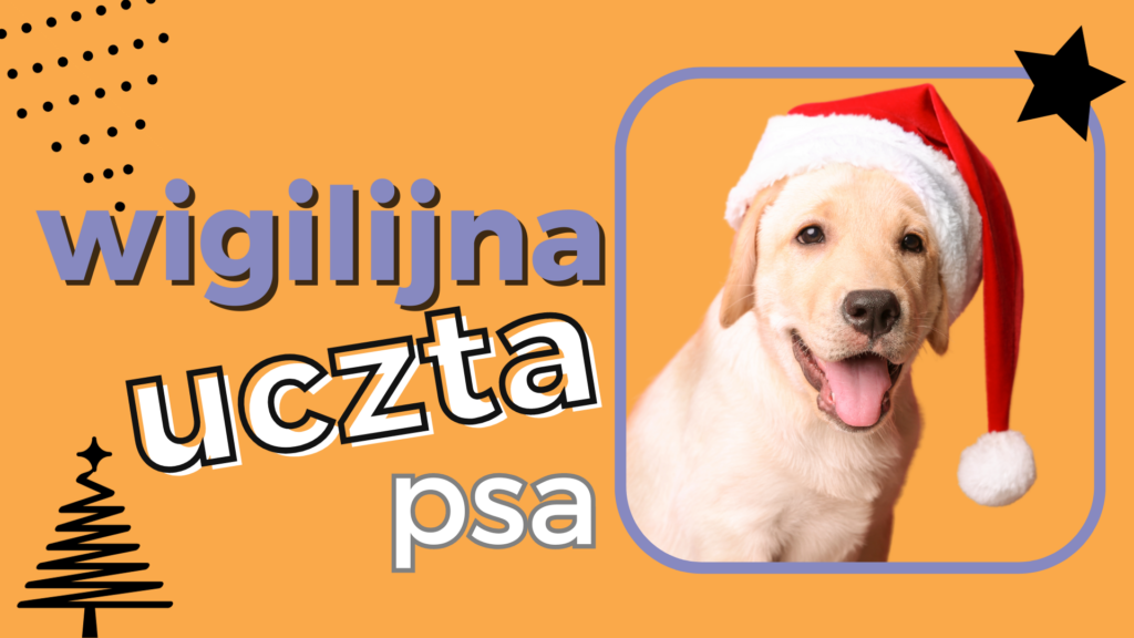 Pies przy wigilijnym stole